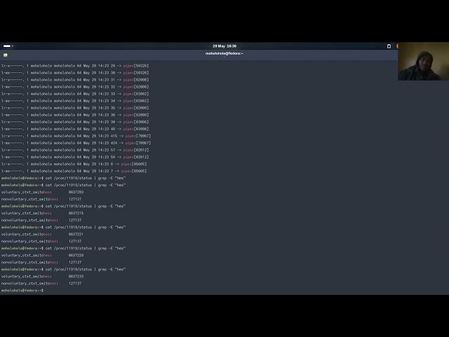 sleeping processes/ threads socket and peer verification
