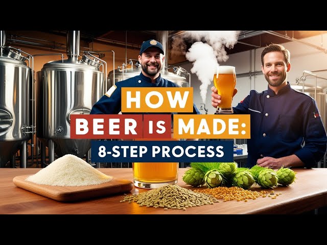 How Beer is Made in a Brewery | 8-Step Brewing Process