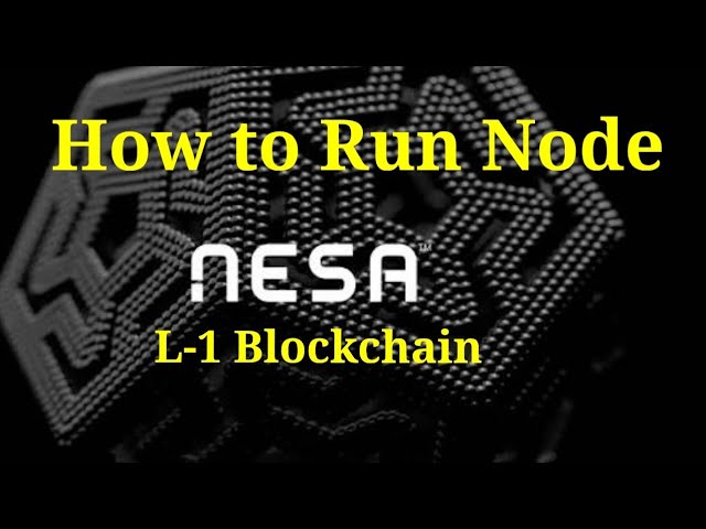 How to Run a Nesa Node - Step by Step Tutorial in Sinhala | WwCf