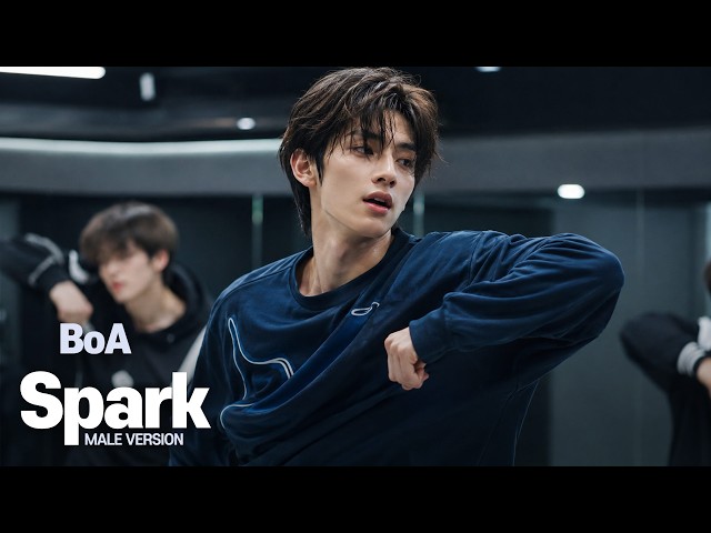 보아 (BoA) 'Spark' 남자버전 AI Cover