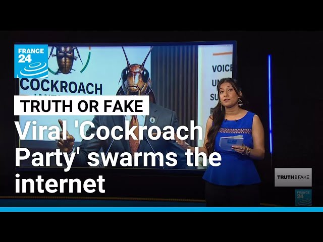 Cockroach Janta Party: India's youth turn judge's jab into viral political movement • FRANCE 24