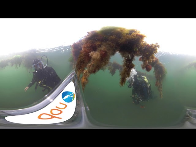 Duiken in Zeeland (VR)