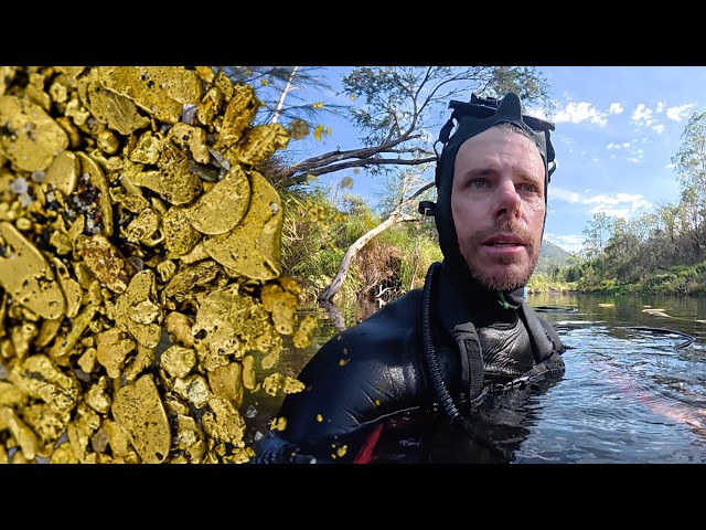 How is it even LEGAL to FIND THIS MUCH GOLD?