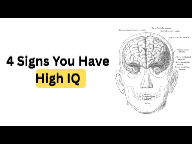 4 Behavioral Patterns That Reveal High IQ