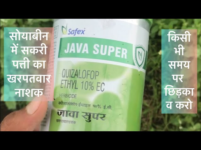 #safex Java Super Narrow leaf weed killer in soybean Safex Java Super Quiazalofop Ethyl 10% EC