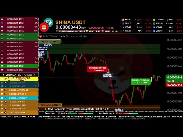 🐕 SHIBA INU (SHIB) LIVE Dashboard | Liquidity & Market Structure