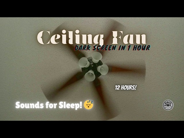 ⨀ Sleep Instantly with Ceiling Fan Noise 💤 Cozy Bedroom Ambience & White Noise ⨀