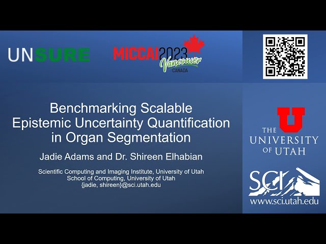 Benchmarking Scalable Epistemic Uncertainty Quantification in Organ Segmentation -  Jadie Adams