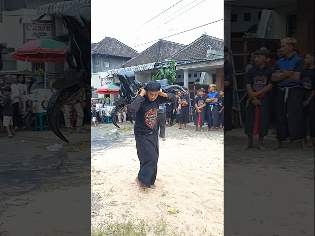 PUTRO WINGIT JOYO On Java Cultural | #short #seni #budaya #carnaval #sports #trip #subscribe