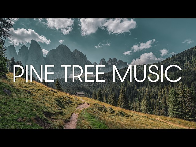 Pine Tree Music – 1 Hour of Relaxing Plant Music with PlantWave | Recorded in Cinque Torri Dolomites