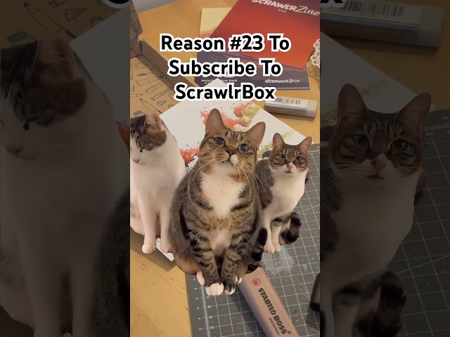 Ek ek ek indeed 🧑‍🎨 Confusion. Curiosity. Sudden Obsession. The creative process, basically