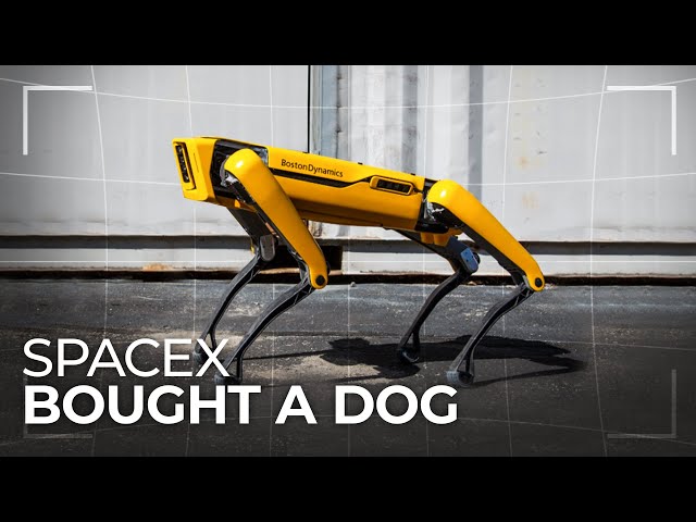 Why SpaceX Bought a Robotic Dog