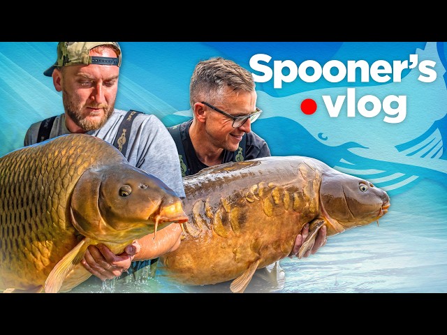 BIG GIGANTICA Social 2025 | Spooners Vlog | HUGE CARP