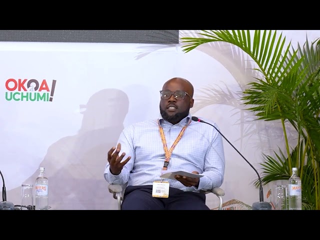 Harnessing AI to Advance the Common African Position on Debt | Part 5: Africa’s AI Capabilities