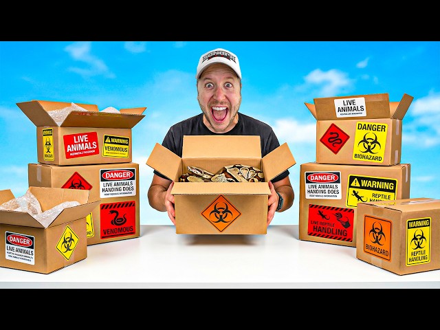 ‼️Reptiles have arrived‼️ Unboxing + IMPORTANT Tips ⚠️