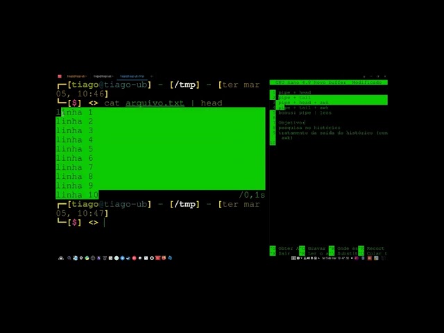 Dicas no Terminal Linux: tail, head, awk e for
