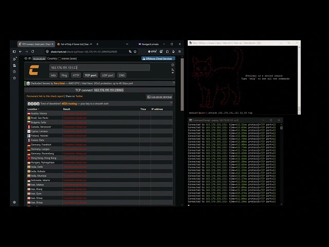 MIRO C2 | RAW - AMP - BYPASS METHODS