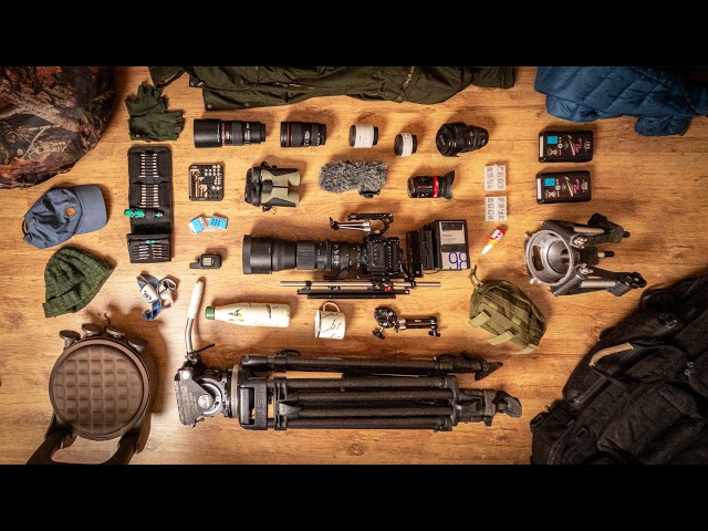 The Gear NO ONE Tells You You Need for Filming Wildlife