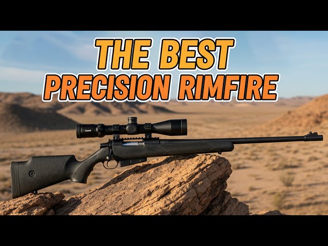 10 Best Precision Rimfire Rifles of 2025