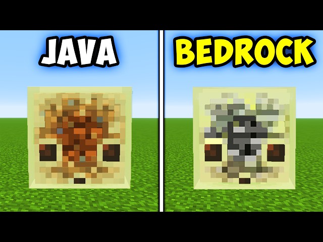 50 Minecraft Java vs Bedrock Things