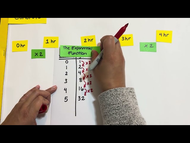 Conceptual Exponential Functions ©️Powered Up Learning 2026