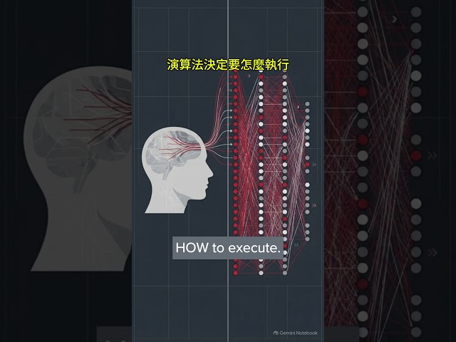 Algorithmic Trading with IBKR｜IBKR 怎麼讓電腦自動找成交路徑和高速做市？