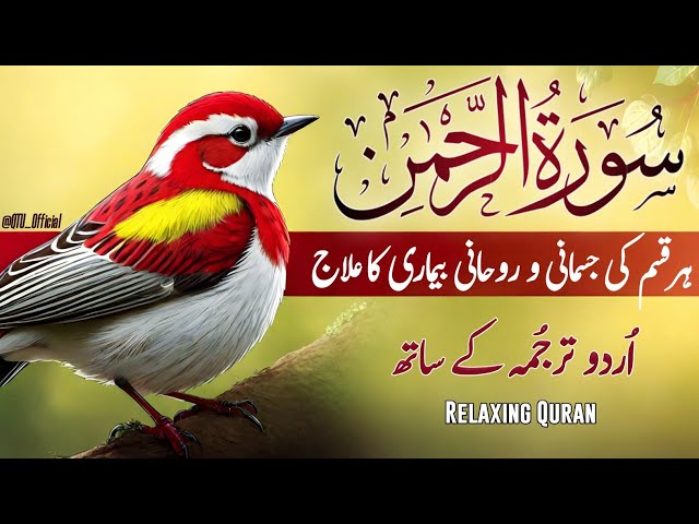 Surah Rehman Most Beautiful Tilawat With Urdu Tarjuma | Episode 17