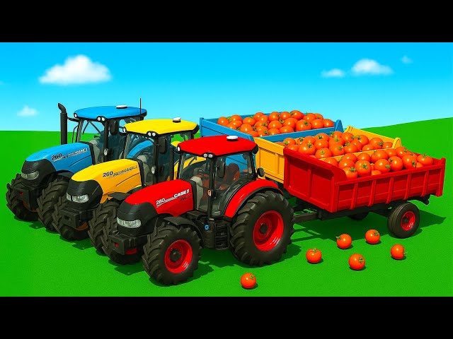 LOAD AND TRANSPORT ORANGES WITH CASE TRACTORS & RIGITRAC LOADERS - FS25