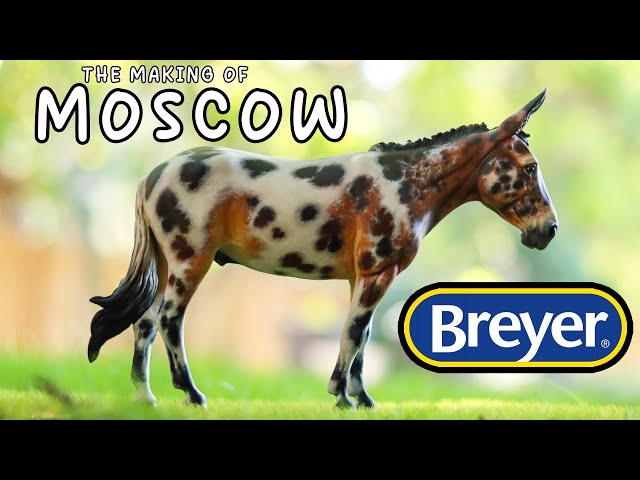 The Making Of Moscow Mule | Breyer Drastic Model Horse Custom Tutorial