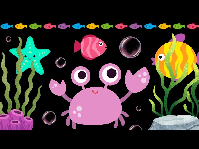 Baby Sensory Video – Newborn Visual Stimulation – Sensory Videos for Babies - Tummy Time #baby
