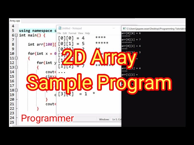 Review # 15 : 2D Array Sample Program. | Successful Programmer