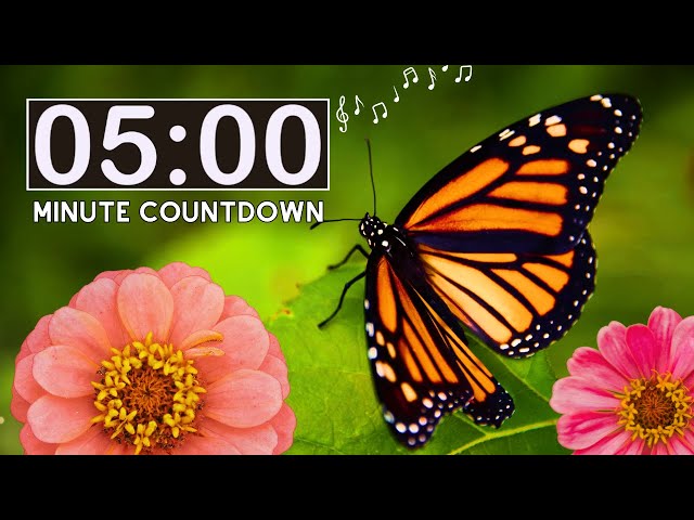 Spring Nature Butterflies | 5 Minute Countdown Kids Timer | Spring Insects | Classroom Management