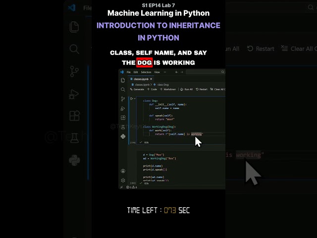 V   S1 EP14 Lab 7   Machine Learning in Python   Introduction to Inheritance   in Python