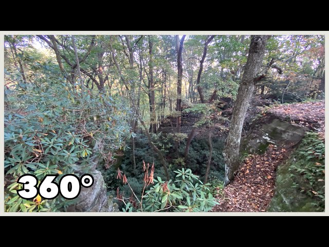 Lancaster Ohio 360° - Top 2 - Rhododendron Cove (2025)