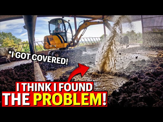 My Cattle Shed Kept Flooding - I FOUND The Issue...