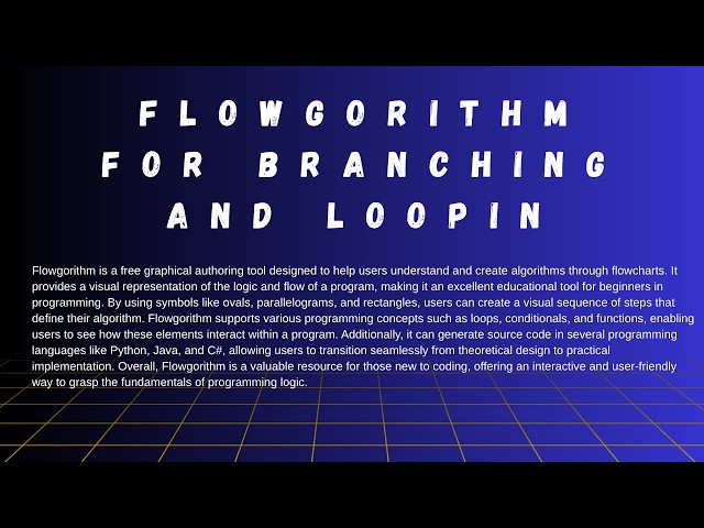 Information Technology Grade 10 Unit 6: Flowgorithm for Branching and loop