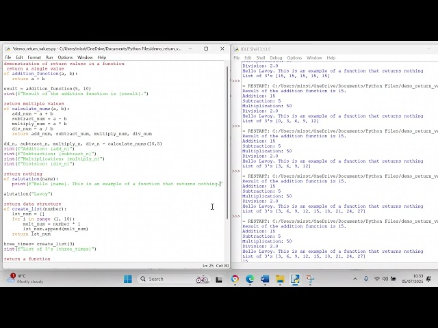 What type of values will a Python function return?