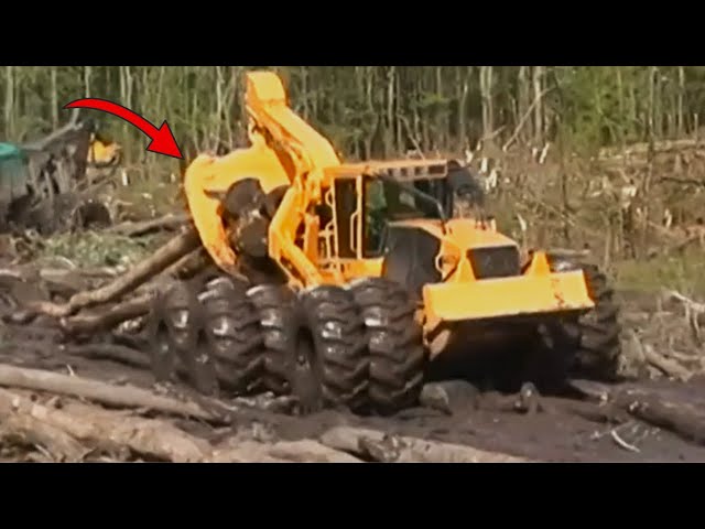 DANGEROUS extreme skidder logging (compilation)