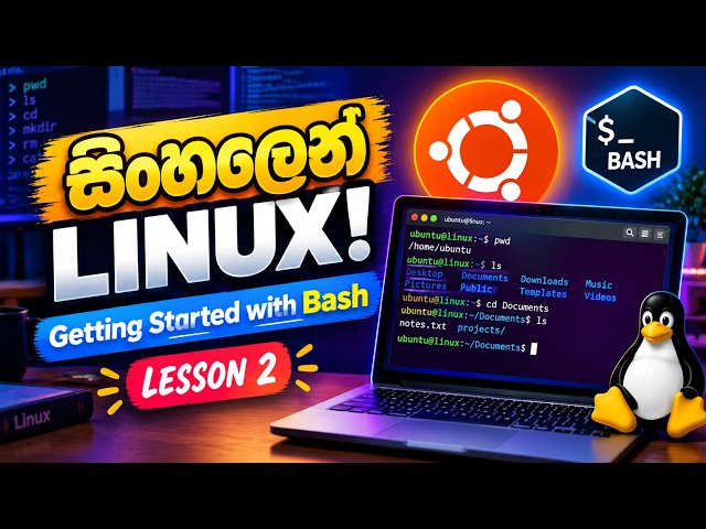 What is Bash in Linux Sinhala | Linux Bash Scripting & Terminal for Beginners (Lesson 02)