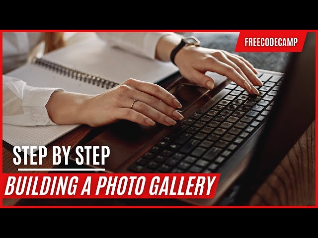 Learn CSS Flexbox by Building a Photo Gallery -FreeCodeCamp