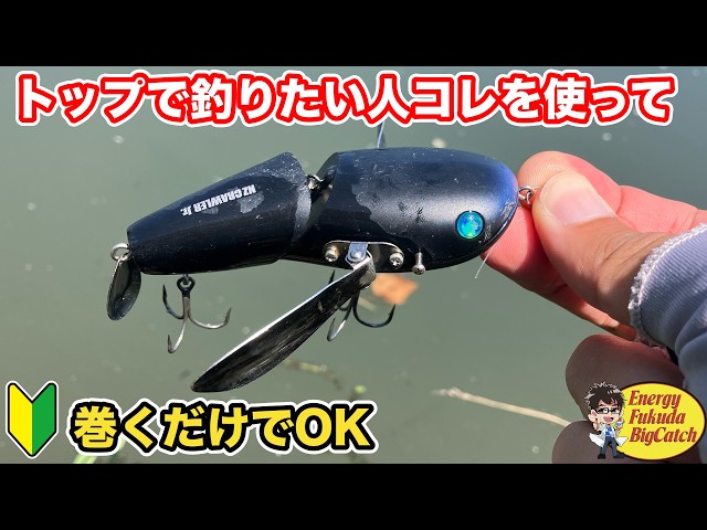 [Bass Fishing] Is the NZ Crawler Jr. the Ultimate Topwater Lure? Catch Big Bass and Numbers Just ...