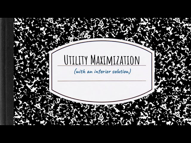 Recap Video Utility Maximization with an interior solution