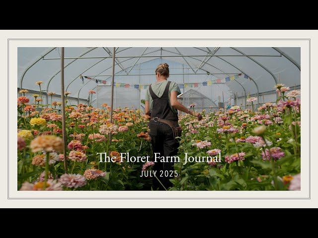 The Floret Farm Journal: July 2025