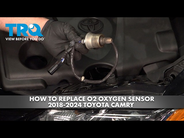 How to Replace Upstream O2 Oxygen Sensor 2018-2024 Toyota Camry