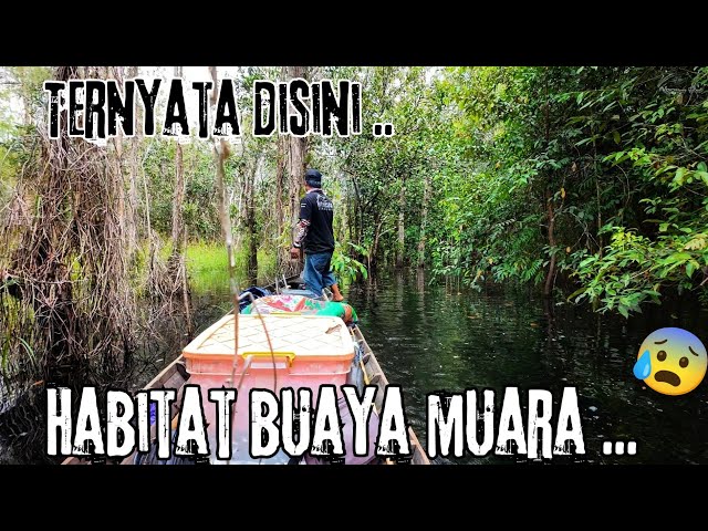 " UNTUNG SEMPAT MELARANG KRU BERCEBUR ,.. TERNYATA DISINI TEMPAT BUAYA BERTELOR " .. 😰😰😨..