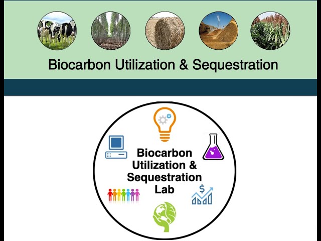 What is Biological Carbon Sequestration?