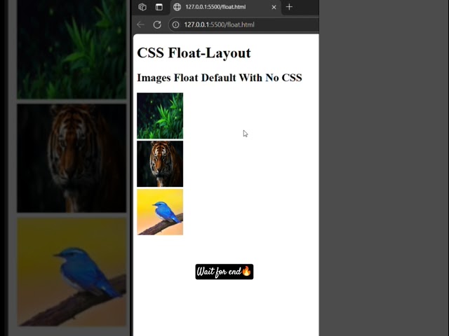 How To Fix Web Layout with CSS Float! ||Code with Hari || #coding #html #css