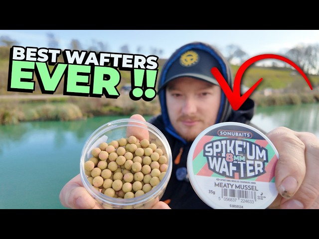 Method Feeder Fishing On The NEW SonuBaits Spike'um Wafter Meaty Mussel !!!