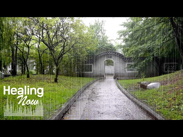 Clear Your Mind with Relaxing Rain Sounds | White Noise for Tinnitus, Stress Relief, and Deep Sleep