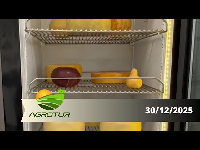 AgroTur: Cheeses "made in Paraná" conquer the world.
